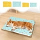 thumbnail image 1 of Fiudx Colchoneta de Doble Cara para Mascotas, Autocalentable, de Algodón Suave, Cómoda, Silenciosa, Ideal para Perros y Gatos, Fácil de Limpiar, 55 X 45 Cm y 45 X 35 Cm., 1 of 7