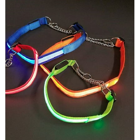 Designer Martingale Collars - Illuma Collar LED Lighted Martingale Collar