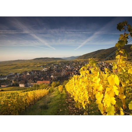 Riquewihr, Alsatian Wine Route, Alsace Region, Haut-Rhin, France Print Wall Art By Walter