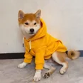 thumbnail image 2 of Traje de otoño para perro Chai, ropa de invierno de felpa, pelo dorado, Corgi, Husky, Border Collie, Samoye, perro mediano, otoño e invierno, 2 of 5
