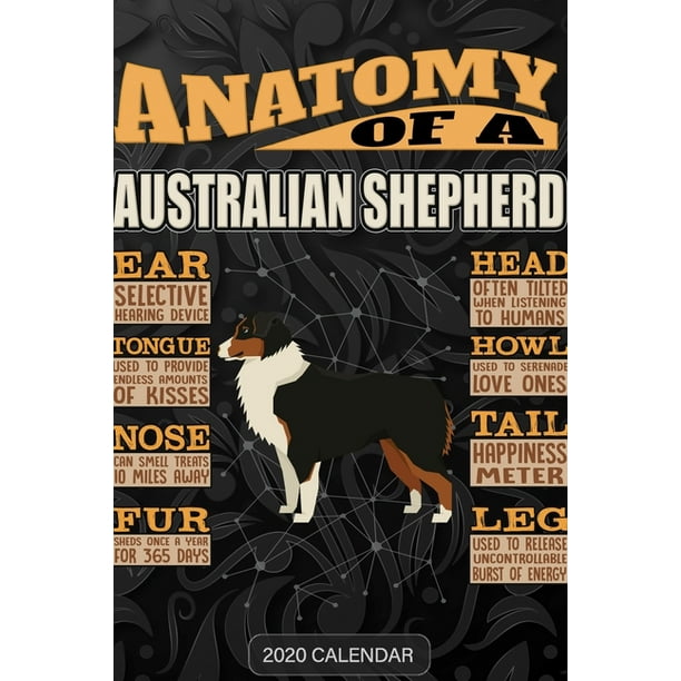 Anatomy Of A : Australian Shepherd 2020 Calendar - Gift For Australian Shepherd Dog Owner Walmart.com