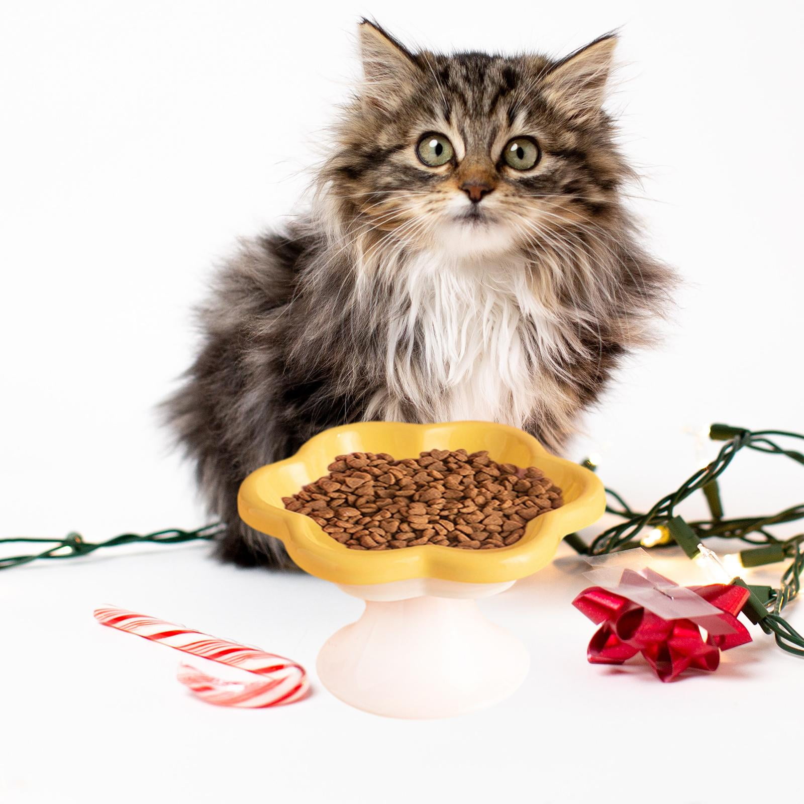 Bvdfgk Ceramic Raised Cat Bowls Food Feeding AntiSlip Water Bowl Puppy Bowls Cat Feeder Yellow