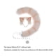 thumbnail image 2 of Simulation for Cat Tail & Ear Headband Cosplay Faux Fur Animal Props Anime Party Costume for Lady Girls Adjustable Easil Sky Blue, 2 of 4