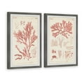 thumbnail image 2 of Marmont Hill Antique Coral Seaweed VIII Diptych, 2 of 6