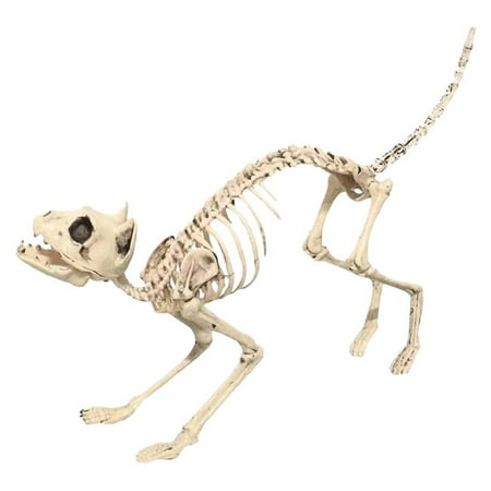 Sonic Realistic Skeleton Cat Costume