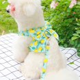 thumbnail image 5 of Summer Pet Dress - Breathable Mesh Fabric Stylish Harness Leash Set for Small Dogs & Cats, 5 of 8