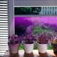 thumbnail image 4 of Luz de planta para invernadero, luz LED para crecimiento de plantas, cadena de luces LED para crecimiento de plantas, durabilidad mejorada, 4 of 8