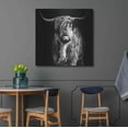 thumbnail image 4 of Luxe Metal Art 'Hippy Highland Cow' by Epic Portfolio Metal Wall Art, 36"x36", 4 of 9