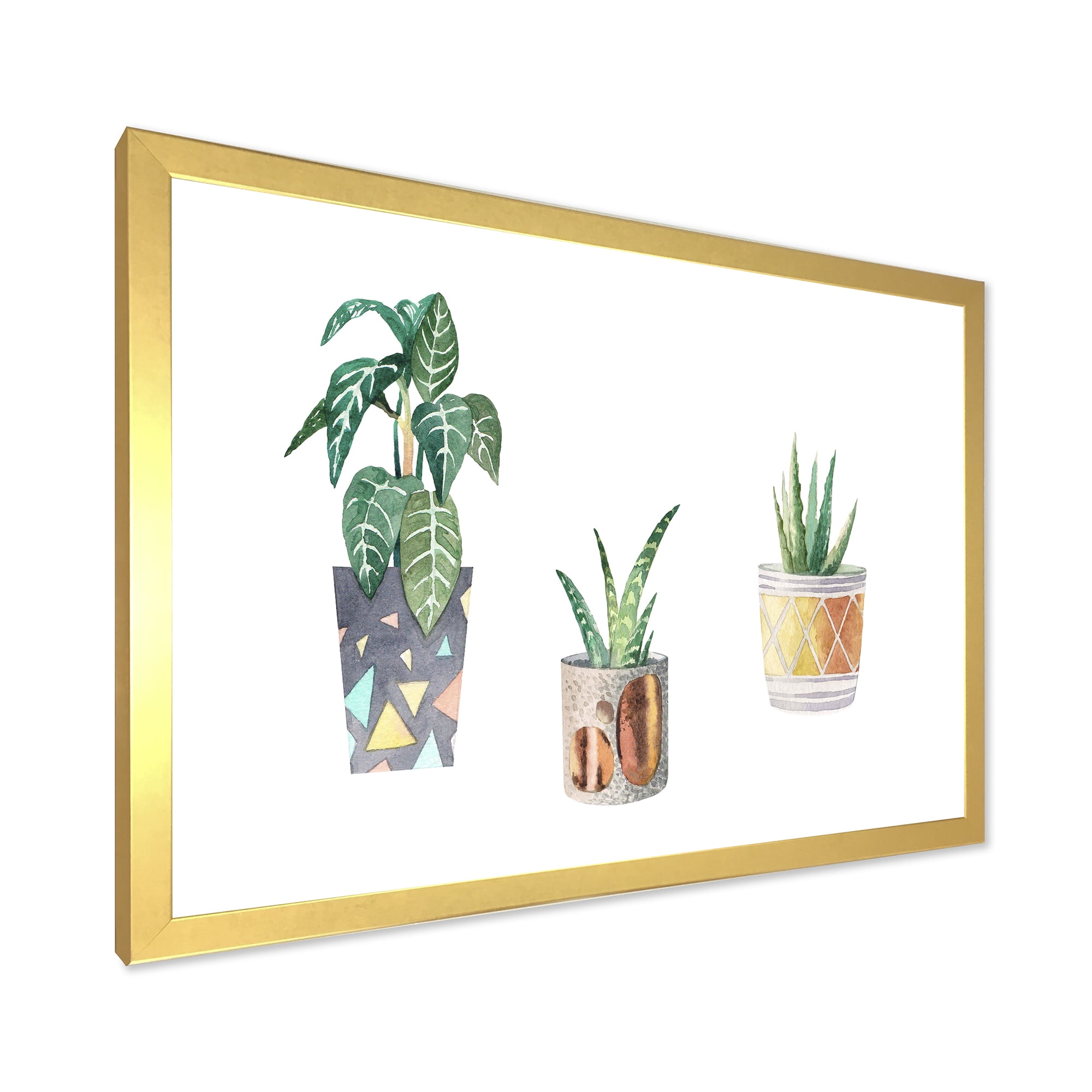 Designart 'Three Potted Houseplants On White' Traditional Framed Art Print