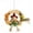 Girls, variant on 2-Pack Tomato Cages Garden Assembled Tomato Garden Cages Stakes Vegetable Cucumber Trellis, for Vertical Climbing Plants, Garden Plant Support Stakes