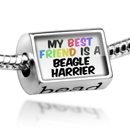 Bead My best Friend a Beagle-Harrier Dog from France Charm Fits All European
