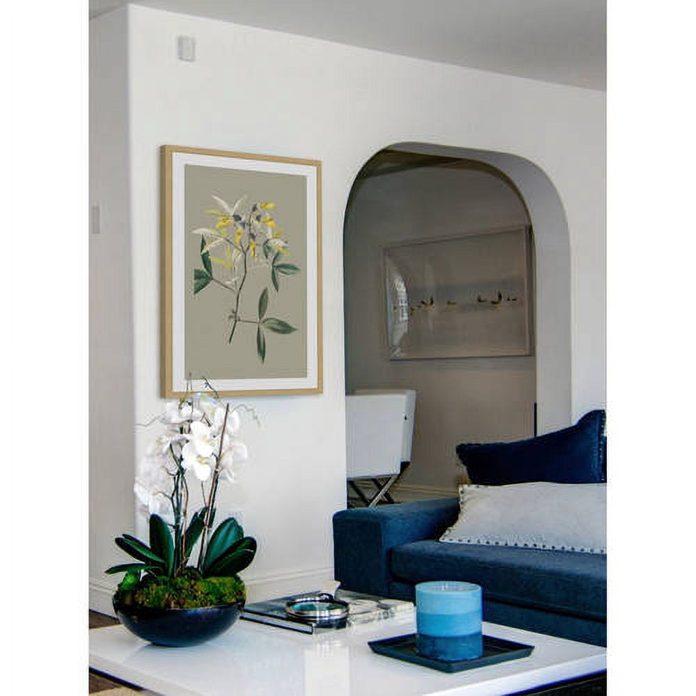 Marmont Hill "Botanical Cabinet VI" Framed Painting Print