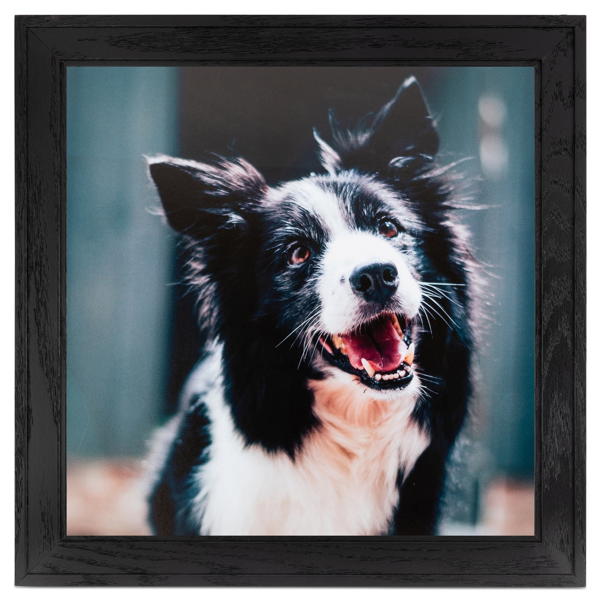ArtToFrames 18x24 Inch Black Picture Frame, This Black Wood Poster Frame is Great for Your Art or Photos, Comes with 060 Plexi Glass (4103)