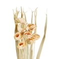 thumbnail image 5 of 50" Tall Dried Plant Natural Foliage Bouquet with Leaves, by DecMode, 5 of 9
