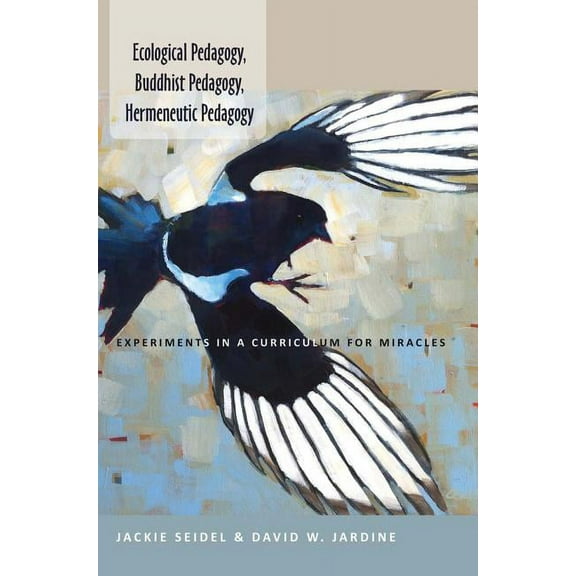 Counterpoints Ecological Pedagogy, Buddhist Pedagogy, Hermeneutic Pedagogy: Experiments in a Curriculum for Miracles, Book 452, (Paperback)