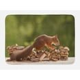 thumbnail image 1 of Squirrel Bath Mat, Photo of a Nutcracker Pile of Wood Forest Zoology, Plush Bathroom Decor Mat with Non Slip Backing, 29.5" X 17.5", Brown Pale Olive Green, by Ambesonne, 1 of 2