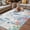 Blue Red Teal, variant on Sea Turtle Coastal Outdoor Rug for Patio/Deck/Porch, Non-Slip Large Area Rug 3 x 5 Ft, Beach Nautical Ocean Coral Seahorse Indoor Outdoor Rugs Washable Area Rugs, Reversible Camping Rug Carpet Runner