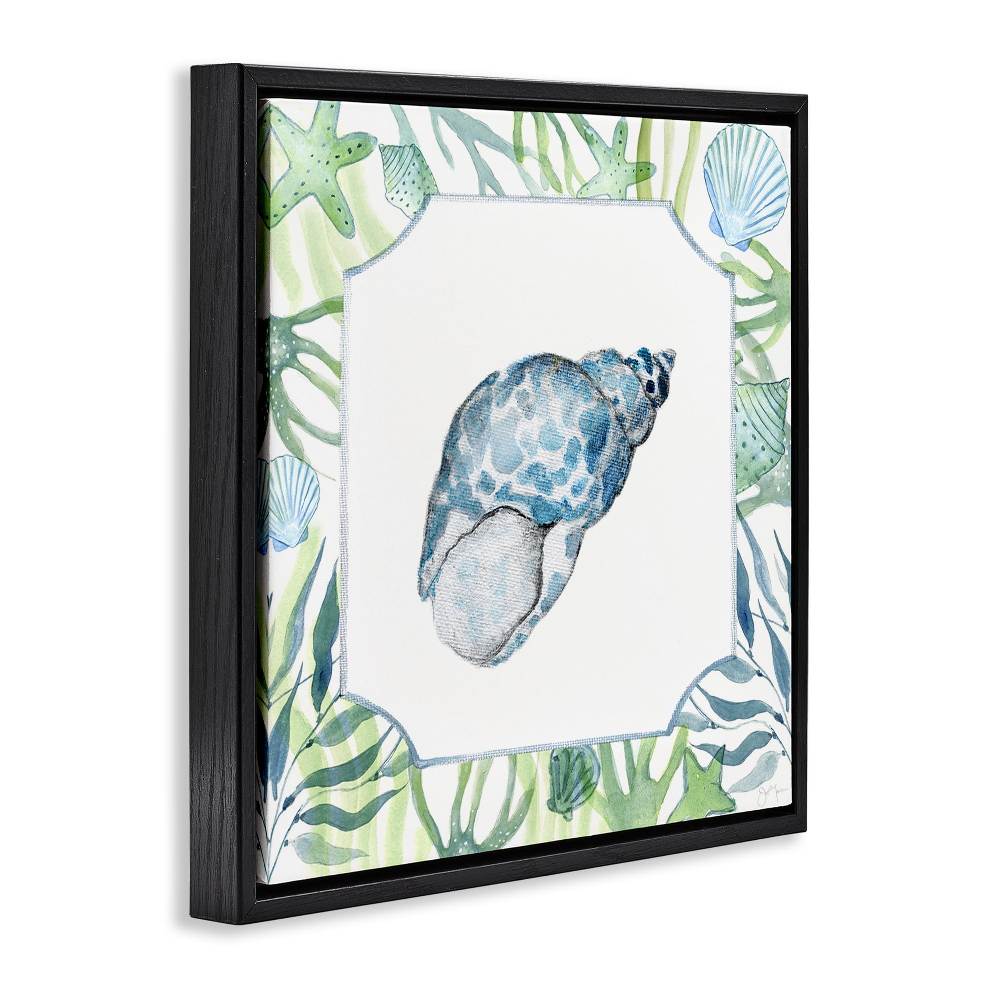 Stupell Industries Spotted Cowrie with Seaweed Black Framed Floater Canvas Wall Art, design by Janet Tava