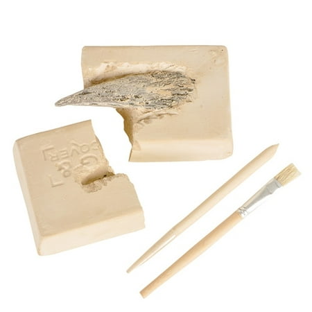 DINOSAUR CLAW EXCAVATION KIT, Case of 24