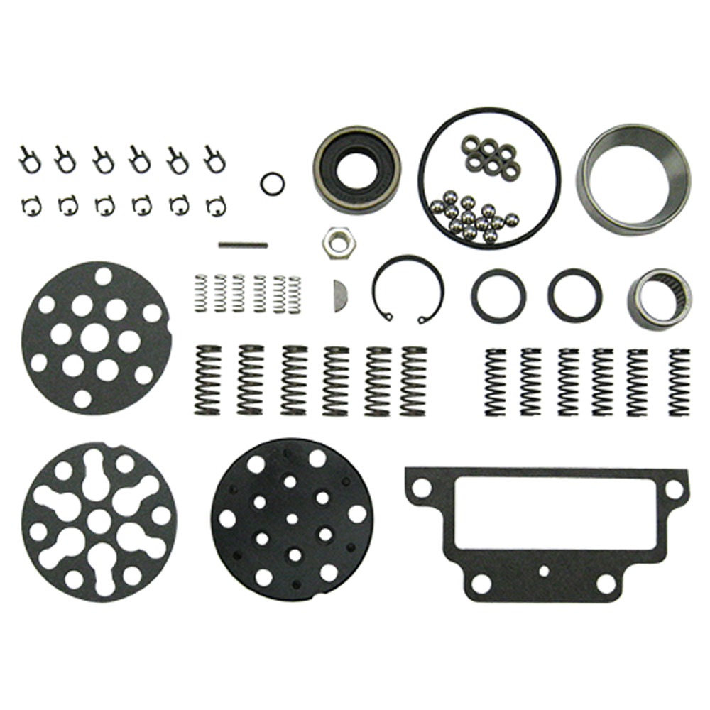 CKPN600A NEW Hydraulic Pump Rebuild Kit For Ford 2000 3000 4000 2600