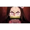 thumbnail image 5 of Demon Slayer: Kimetsu No Yaiba The Movie: Mugen Train (Blu-ray CrunchyRoll), 5 of 5