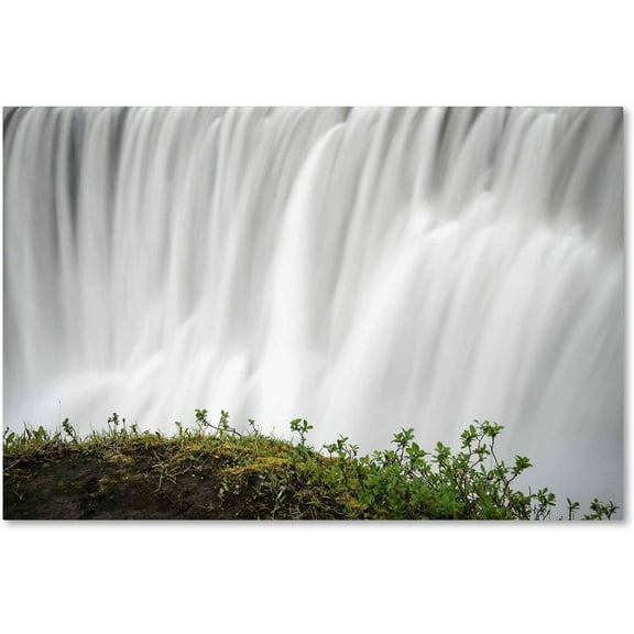 Trademark Fine Art 'Float' Canvas Art by Philippe Sainte-Laudy