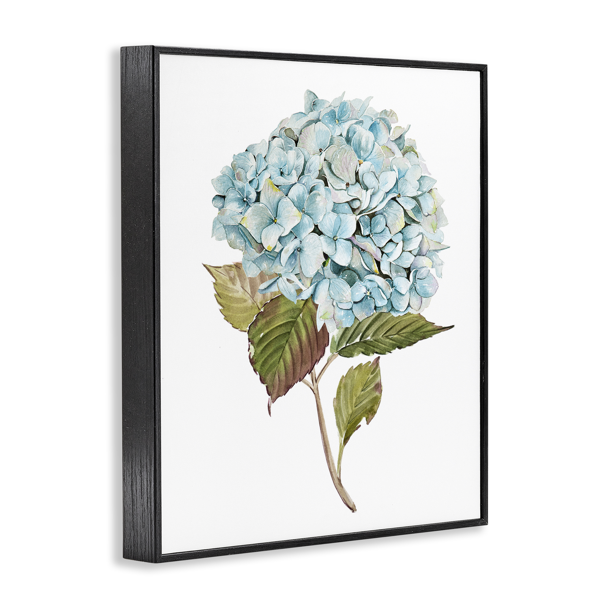 Stupell Industries Simple Hydrangea Bud Botanical & Floral Painting Black Framed Art Print Wall Art, 24 x 30