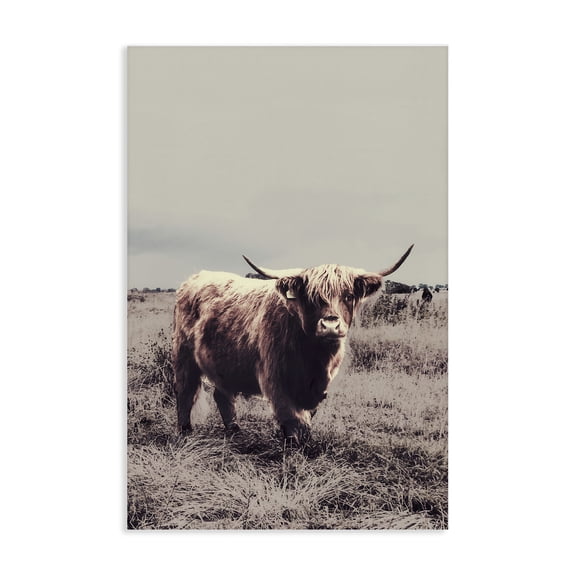 Stupell Industries Farmhouse Horned Cattle in Pasture Canvas Art, 16 x 24, by SD Graphics Studio