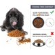 thumbnail image 2 of Comedero lento para perros JAMW Tazón Anti-Bloat Bowls tazón de acero antideslizante azul Sencillez, 2 of 5