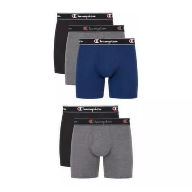 Boxer champion precio sale