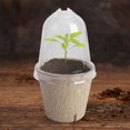 thumbnail image 4 of Taza para cultivo de plantas, suministros de jardinería versátiles (6cm con agujero), 10 Uds., 4 of 7