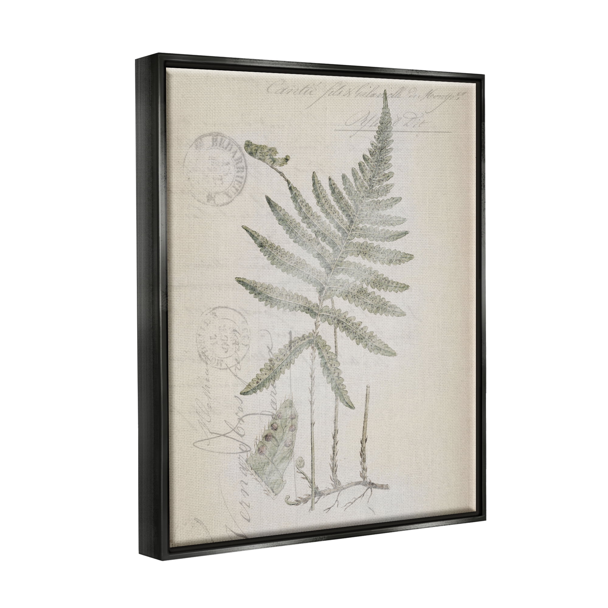 Stupell Industries Vintage Post Card Fern Leaf Botanical & Floral Drawing Black Floater Framed Art Print Wall Art