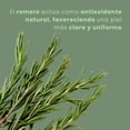 thumbnail image 4 of Shampoo Corporal Refrescante Dreamy Skin Romero Hidratante Calmante Aroma Bambú 250 ml Para Todo Tipo de Piel, 4 of 5