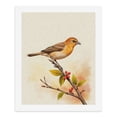 thumbnail image 5 of Paint by Numbers Kit for Adults, Orange Bird Branch Leaves Watercolor Paint by Numbers, Easy Paint by Numbers Kit for Adults Beginner, DIY Adult Paint by Number Kits on Canvas, Home Decor, 5 of 7