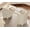 Beige, variant on 58" Wooden Vanity Desk with Drawers and Cabinet, Modern Makeup Charging Table with Storage for Bedroom, Oak Brown