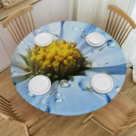 

Patifu Round Table Cover Stain Resistant and Washable for Indoor Outdoor Tablecloth Kitchen Dining Wedding Parties Full Width Single-Sided Printing 100% Polyester Fiber 31-35