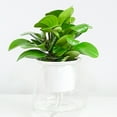 Cheers.US Self Watering Planter Pots, Decorative Planter Flower Pot for