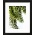 thumbnail image 2 of Palm Leaves, Botanical Framed Art Print Wall Art by Lexie Greer Sold by Art.Com, 2 of 5