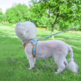 thumbnail image 5 of Juego de arnés y correa de malla suave para perros para caminar, para perros pequeños y gatos domésticos, 5 of 5