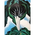 thumbnail image 3 of Georgia O'Keeffe "Jack-in-the-Pulpit No.3" American Art Print Custom Framed New Generic, 3 of 3