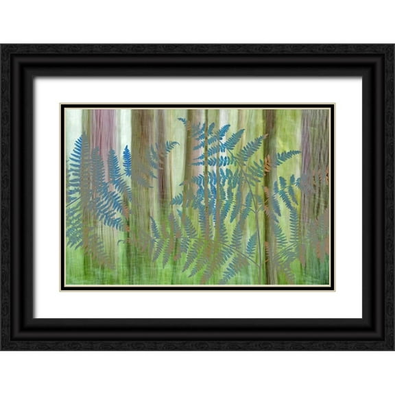 Paulson, Don 32x23 Black Ornate Wood Framed with Double Matting Museum Art Print Titled - WA, Seabeck Collage of bracken ferns and forest