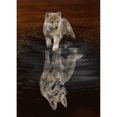 thumbnail image 1 of Diamond Painting (DE4979) 5D DIY Animal Round Resin Craft (Dog Reflection LD446) 40x50cm FLhrweasw Nuevo, 1 of 1