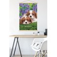 thumbnail image 5 of Keith Kimberlin - Cavalier King Charles Puppies Wall Poster with Wooden Magnetic Frame, 22.375" x 34", 5 of 6