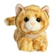 thumbnail image 1 of Aurora - Mini Flopsie - Gato Jengibre de 8" Aurora Aurora World, 1 of 2