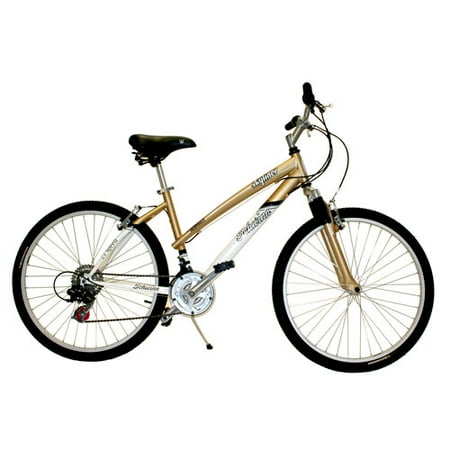 womens comfort mountain bike