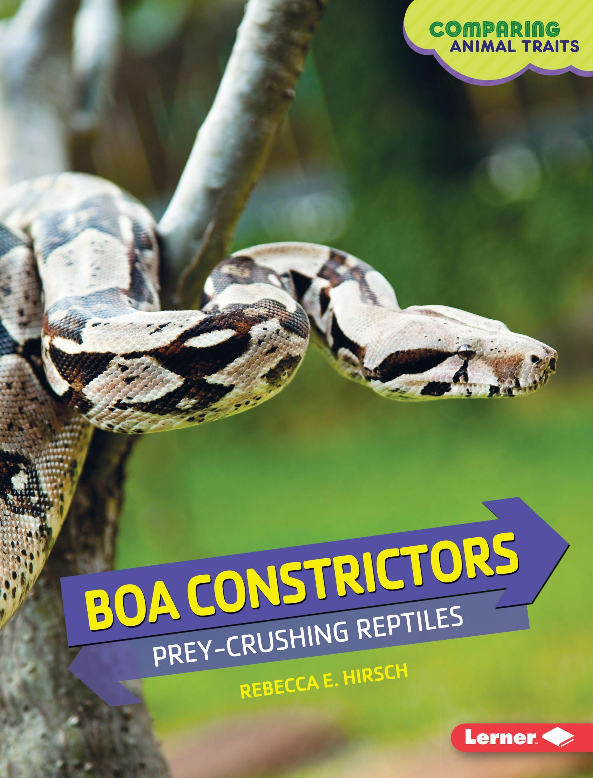 insert PERSONALISED BOA CONSTRICTOR SNAKE REPTILE BIRTHDAY ANY OCCASION CARD