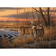 thumbnail image 1 of Heartland Wholesale Casse-Tête de l'Éclat du Jour - 1000 Pcs, 1 of 1