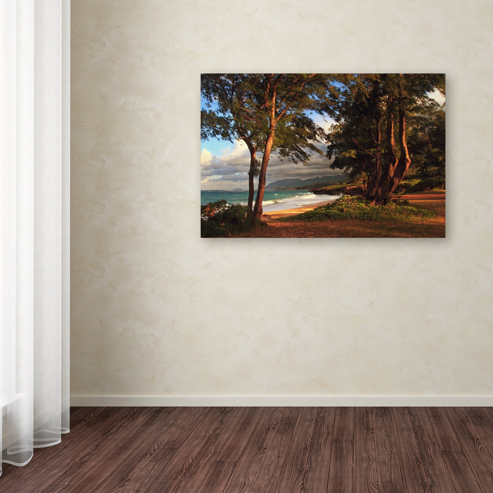 Trademark Fine Art "Hawaii 5" Canvas Art by Jason Shaffer
