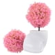 thumbnail image 1 of AURARMLET 2Ud Planta Artificial En Maceta Rosa Con Bonsái Para De Hogar Y Oficina, 1 of 6
