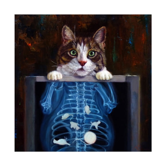 Canvas Wall Art - Lucia Heffernan 'Cat Scan' Wall Art for Living Room, Bedroom, or Office Décor by Trademark Fine Art - 14 x 14 Inches - 14x14